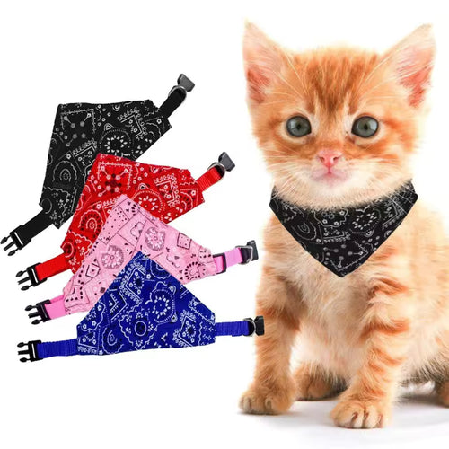 (FREE GIFT) - Bandana Neck Collar