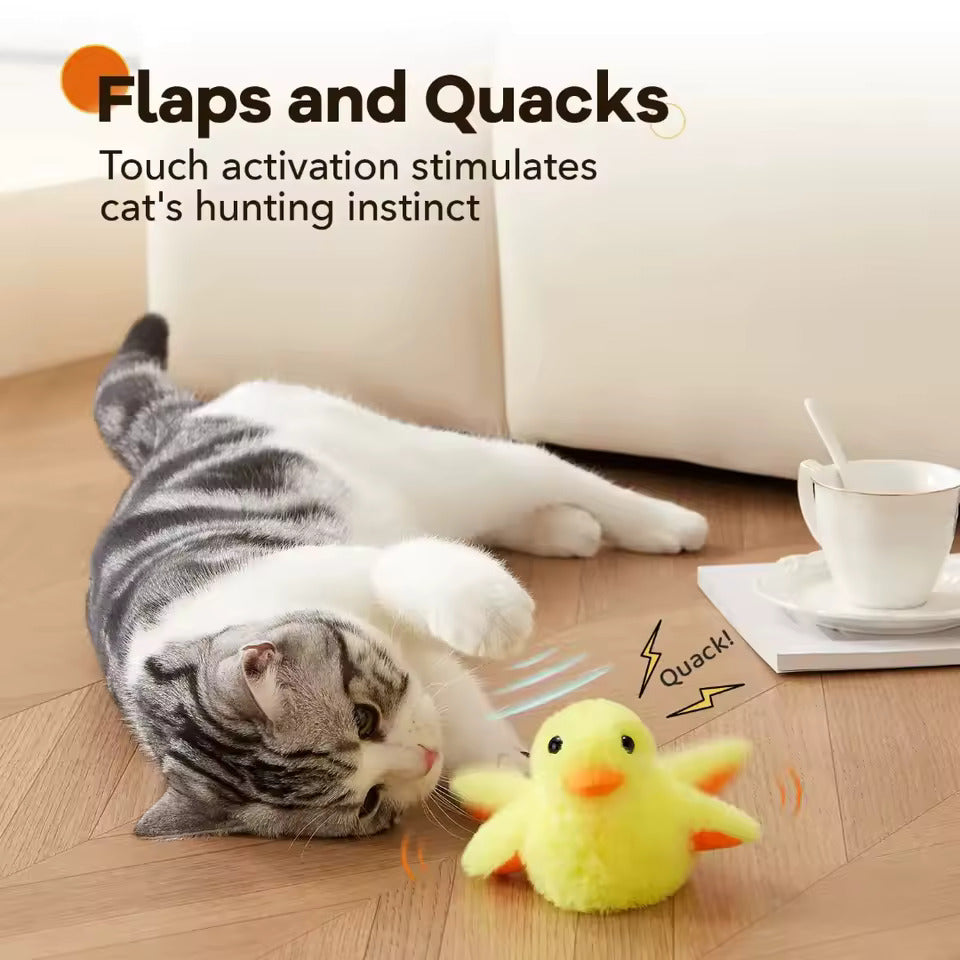 MeowChase Toy
