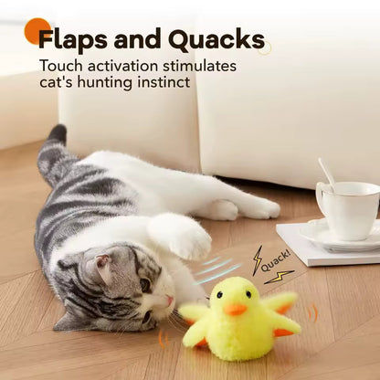 MeowChase Toy
