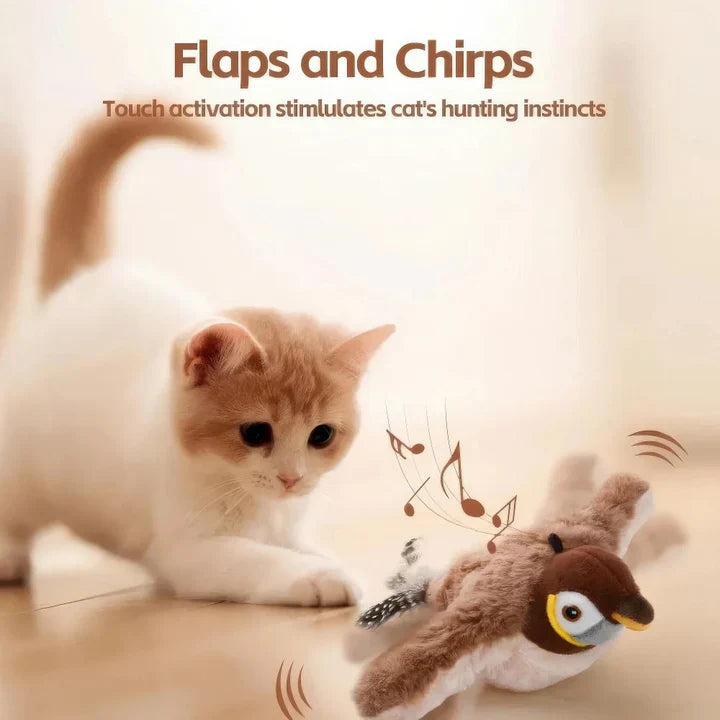 MeowChase Toy