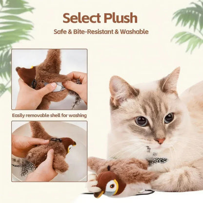 MeowChase Toy